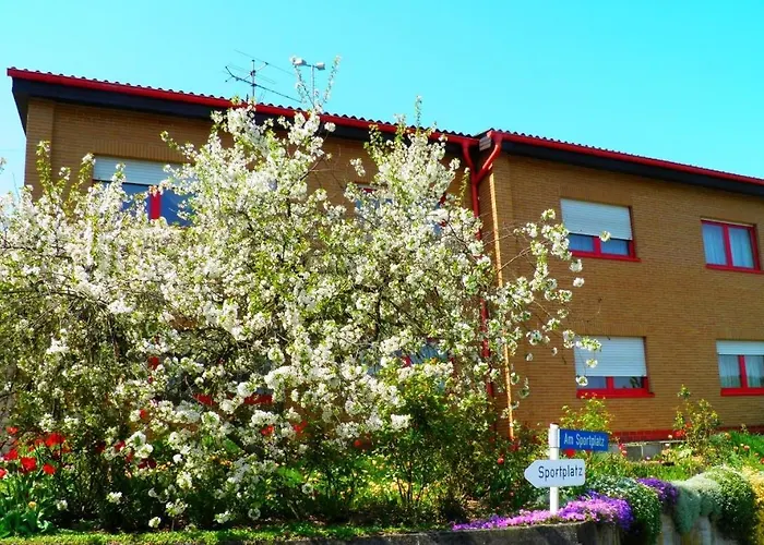 Am Sportplatz Im דירה *